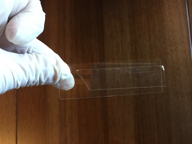 نمونه چسب اسکاج
